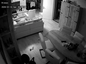 Caméra IP - Paesi Bassi