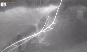 Caméra IP - Lituanie