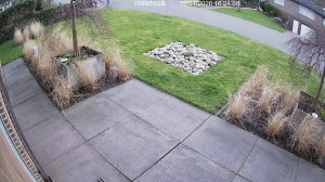 Caméra IP - Netherlands