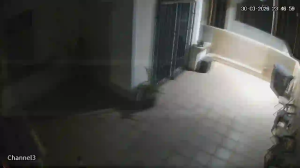 Caméra IP - Mexique