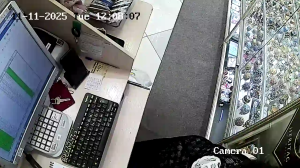 Caméra IP - Russian Federation