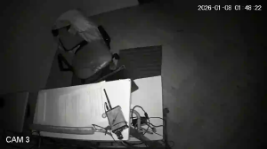 Caméra IP - Argentine