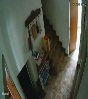 Caméra IP - Argentina