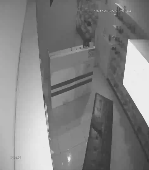 Caméra IP - United States of America