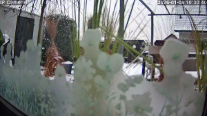 Caméra IP - Germany