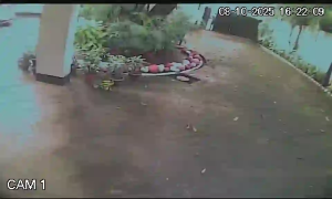 Caméra IP - Bangladesch