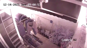 Caméra IP - Singapore