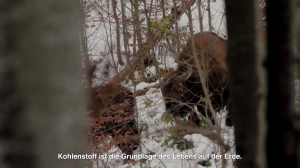 Caméra IP - Germany