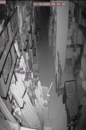 Caméra IP - Corée du Sud