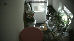 Caméra IP - United Kingdom