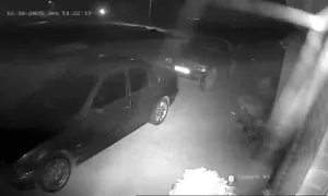 Caméra IP - Francia