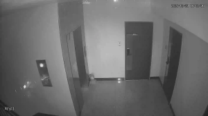 Caméra IP - Corea del Sud