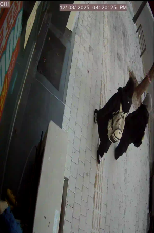 Caméra IP - Corée du Sud