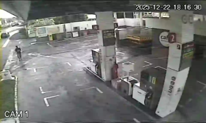 Caméra IP - Réunion