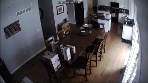 Caméra IP - Estados Unidos