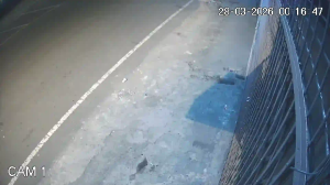 Caméra IP - Indonesia