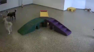 Caméra IP - États-Unis d'Amérique