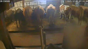 Caméra IP - Austria