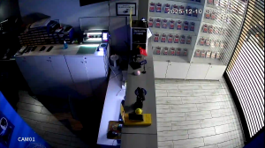 Caméra IP - Russian Federation