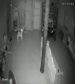 Caméra IP - Thailand