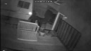 Caméra IP - Vereinigte Staaten von Amerika