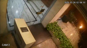 Caméra IP - Argentina