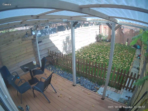 Caméra IP - Royaume-Uni