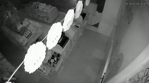 Caméra IP - Malaysia