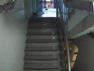 Caméra IP - Corée du Sud