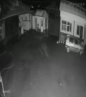 Caméra IP - Kazakhstan