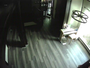 Caméra IP - Estados Unidos