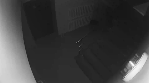 Caméra IP - Russian Federation