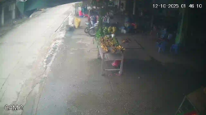 Caméra IP - Vietnam