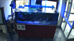 Caméra IP - Türkei