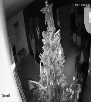 Caméra IP - Mexique