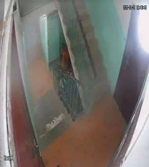 Caméra IP - Russische Föderation