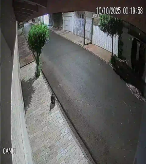 Caméra IP - Brasil