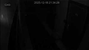 Caméra IP - South Korea