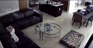 Caméra IP - États-Unis d'Amérique