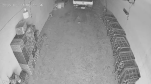 Caméra IP - Vietnam