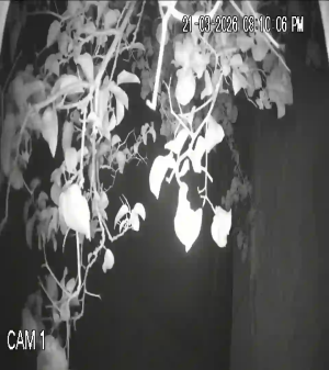 Caméra IP - Guatemala