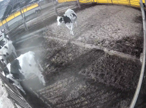 Caméra IP - República de Corea