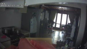 Caméra IP - Sydkorea