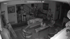 Caméra IP - United States of America