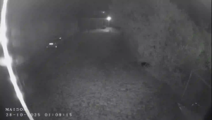 Caméra IP - Frankreich