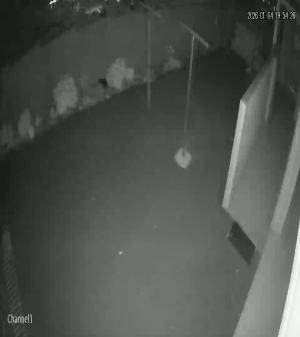 Caméra IP - Südafrika