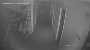 Caméra IP - Denmark