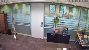 Caméra IP - Países Bajos