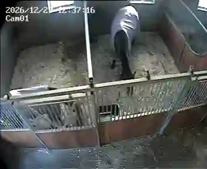 Caméra IP - Niederlande