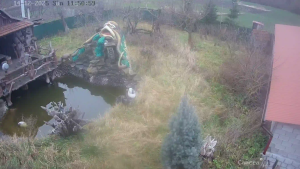 Caméra IP - Ukraine